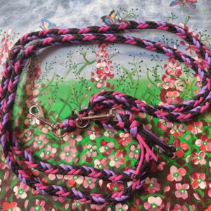 Hundeleine aus Paracord