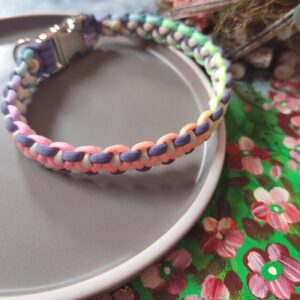 Hundehalsband aus Paracord